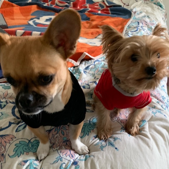 Meet your Posher, Carliππππππππ - Picture 4 of 5